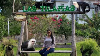 Hermoso lugar Hotel y Restaurante las tilapias en San Ignacio