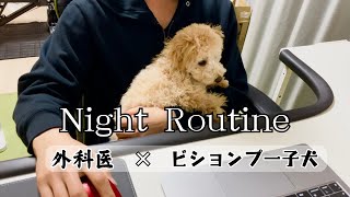 ビションプー子犬と外科医のナイトルーティン