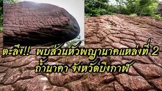 ตะลึง !!!  พบส่วนหัวพญานาคแหล่งที่ 2 ถ้ำนาคา จังหวัดบึงกาฬ | เล่าเรื่องเรื่องเล่า