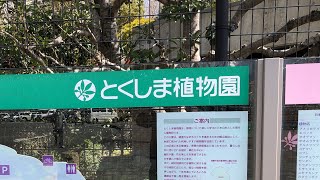 【とくしま植物園】自然と人間との創造的な共生空間の創出　※是非行ってほしい植物園