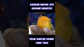 Tidak Banyak Orang Tahu! Racikan Umpan Jitu Gurame Liar #shorts