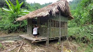 Single mother off grid building House Bamboo In The Forest, Build bamboo wall / Green Forest Life