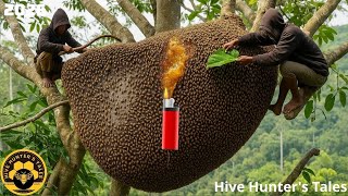 Forest Honey Harvest 2026 - Dropping the lighter dramatically