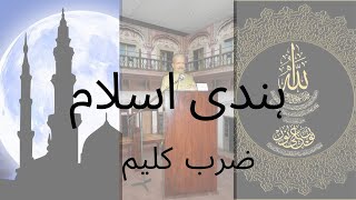 Hindi Islam | Allama Iqbal Poetry | Educational Poetry | Urdu Shayari | zarb e kaleem