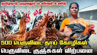 500 தாய் கோழிகள் | பெருவிடை கோழி பண்ணை | பெருவிடை கோழி குஞ்சுகள் விற்பனை | Iyarkai annai