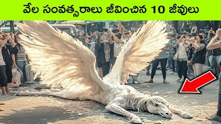 Longest living animals in the world | Facts in Telugu | BMC Facts | interesting facts