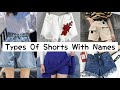 Different Types Of Shorts With Names/Summer Shorts For Girls/Womens/Shorts Names