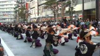 東京よさこい2010 ～ 早稲田大学よさこいチーム 東京花火