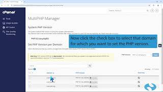 How to set the PHP version per domain using cPanel
