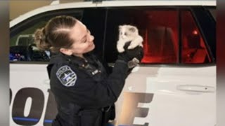 Iowa police officer rescues kitten