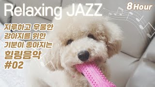 Separation anxiety/effective jazz music for depressed dogs # 02🎹/Continuous play 8Hour/Healing dogs