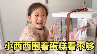 小西西生日，二丫花118元买蛋糕，西西高兴的围着蛋糕看不够【二丫生活】