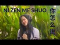 Ni Zen Me Shuo 你怎么说 🦚 - Teresa Teng  Lyric & terjemahan ( Sianne Aw Cover)