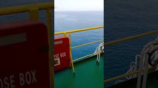 Ship life cruise ship news|ship job cruise news|cruise ship news#shorts#video#ship#short
