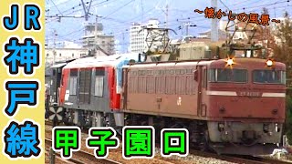 【DF200の「甲種輸送」も収録！】 JR神戸線　甲子園口 【1999年撮影】