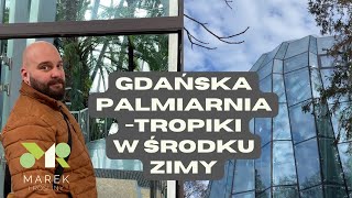 Gdańska palmiarnia - tropiki w środku zimy. Ponowne odwiedziny po niemal roku! Co się zmieniło?