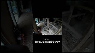 土壁解体の日の様子~　なかなか体験出来ないことで楽しかったデェエス！　#古民家暮らしのホンネ #古民家リノベーション #diy  #selfrenovation #japanesehouse