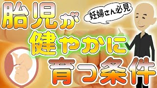 胎児が健やかに育つ！妊婦の睡眠と体内リズムの重要性