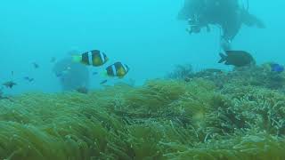 20180501 Dive log #13#14