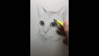 How To Draw a cute cat | Satisfied Life Pencil