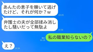 飲酒運転で私の息子を轢いて緊急搬送させた義姉が「弁護士の夫が全てをもみ消したｗ」と言った結果、私が職業を知らないのかと問い詰め、全く反省しない彼女を徹底的に制裁したという話ｗｗｗ