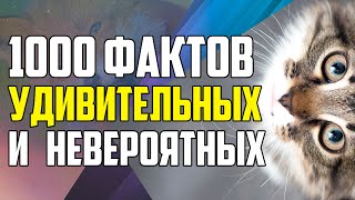 1000 УДИВИТЕЛЬНЫХ И НЕВЕРОЯТНЫХ ФАКТОВ