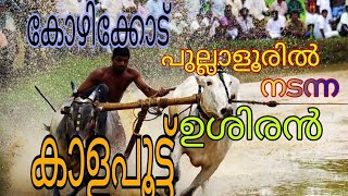 Bull race/Kaalapoott  Kozhikode   pullaloor