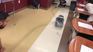 Constructive Interference in a Spring (Slow-motion)