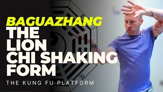 BAGUAZHANG Kung Fu - Lion Chi Shaking Form