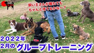 2022年2月のPSDグループトレーニングの様子【歩行・待機】　PSDドッグサポートセンター　いぬプロ　inupro  犬のしつけ　教育　グループレッスン