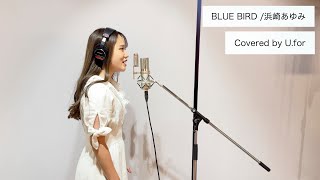 BLUE BIRD / 浜崎あゆみ U.forカバー動画Vol.114