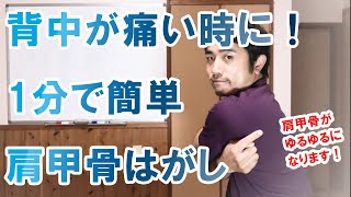 背中が痛い時に！1分で簡単肩甲骨はがし【都城 整体】