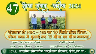 संस्थान से NRC - 150 का 10 किलो बीज मिला, ग्रीष्म काल मे बुआई कर 15 बीघा का बीज बनाया.-अनुराग लोखंडे