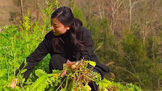 Roasted oxtail, paired with white radish just picked by Guizhou girl, nourishing and detoxifying.