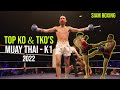 KNOCKOUTS You Need To See - Top 28 KO's & TKO's Of 2022