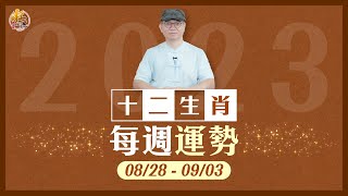 2023年8/28-9/3：十二生肖每週運勢｜旺好運 x 張明老師