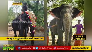 തൂത പൂരത്തിനിടെ നടന്ന ആനമാറാട്ടം | Thootha Pooram | Elephant