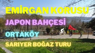 Ortaköy - Emirgan Korusu - Japon Bahçesi ve Sarıyer Bisiklet Turu - La bohème