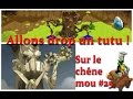 [Dofus] Jeremy-sadi - Allons drop un tutu sur le Chêne mou #25