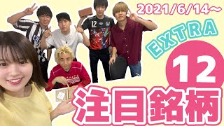 【株TubeEXTRA#140】2021年6月14日～の注目銘柄EXTRA12