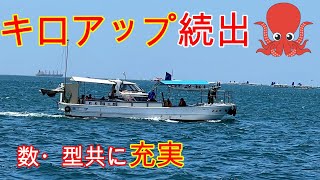 『いよいよ本格化！明石沖タコ釣り』週末の釣行パターン予想も！