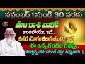 Tula Rasi || 01 to 30 November Rasiphalalu || 2024 Horoscope || తుల రాశి ఫలాలు 2024 || Ramasharma