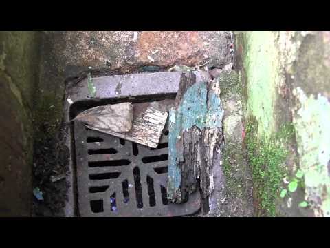 How to clean a sink gully How to clean a sink gully
