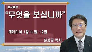 제75회 할렐루야! 홍성필 목사입니다! - 무엇을 보십니까 - 2017년 4월 30일