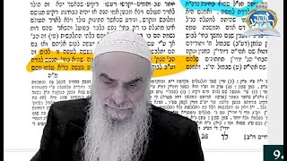 עץ חיים - התינוק נולד עם נר\