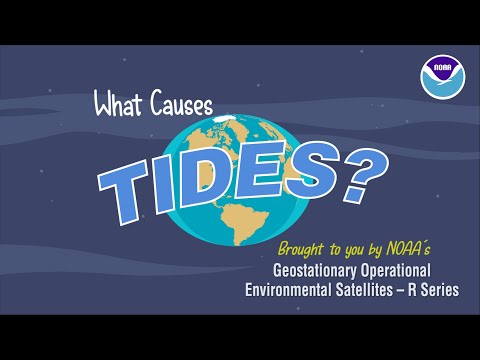 What happens during a high tide?