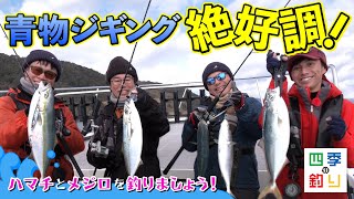 青物ジギング絶好調！ハマチとメジロを釣りましょう！（四季の釣り/2024年3月1日放送）