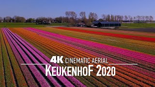 KEUKENHOF 🇳🇱 AMSTERDAM 4K Drone Aerial | World's Largest Tulip Fields