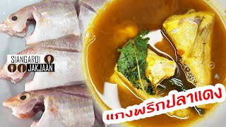 สูตรอาหารใต้รสเด็ด | แกงพริกปลาแดงร้อนแรงด้วยใบยี่หร่า | เสียงอร่อย จากจาน