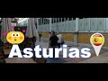 Mercado El Fontán, Oviedo 4k, Asturias, España. 🚶(4k Ultra HD 60fps)/2021/ TE INVITO